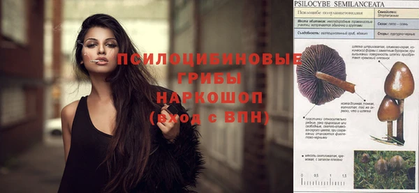 индика Алексеевка