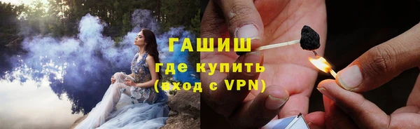хмурый Алексин