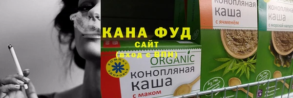 хмурый Алексин
