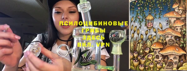 Альфа ПВП Алзамай