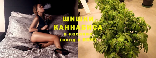 хмурый Алексин