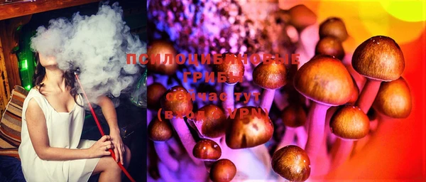 Альфа ПВП Алзамай