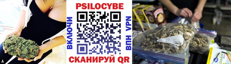 Купить где  Слюдянка  Псилоцибиновые грибы прущие грибы 
